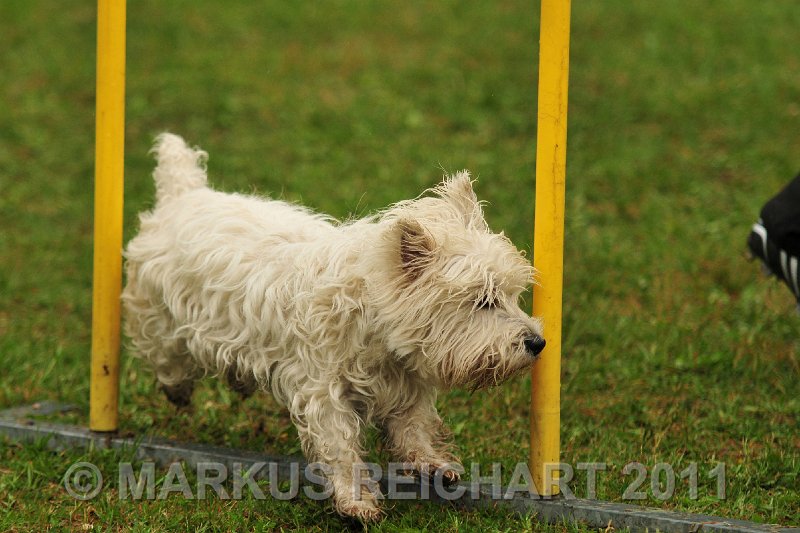 MGR_9873.jpg - M G REICHART