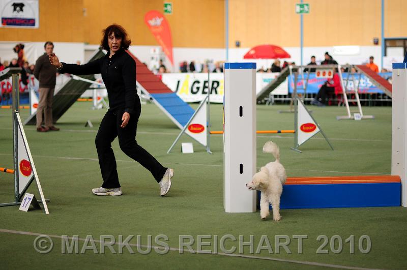 DSC_2743.jpg