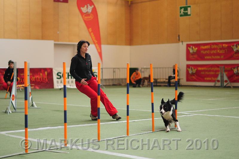 DSC_3302.JPG