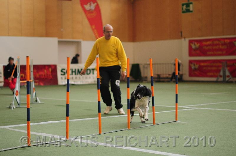 DSC_3334.JPG