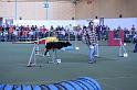 2_Wintercup09_0208